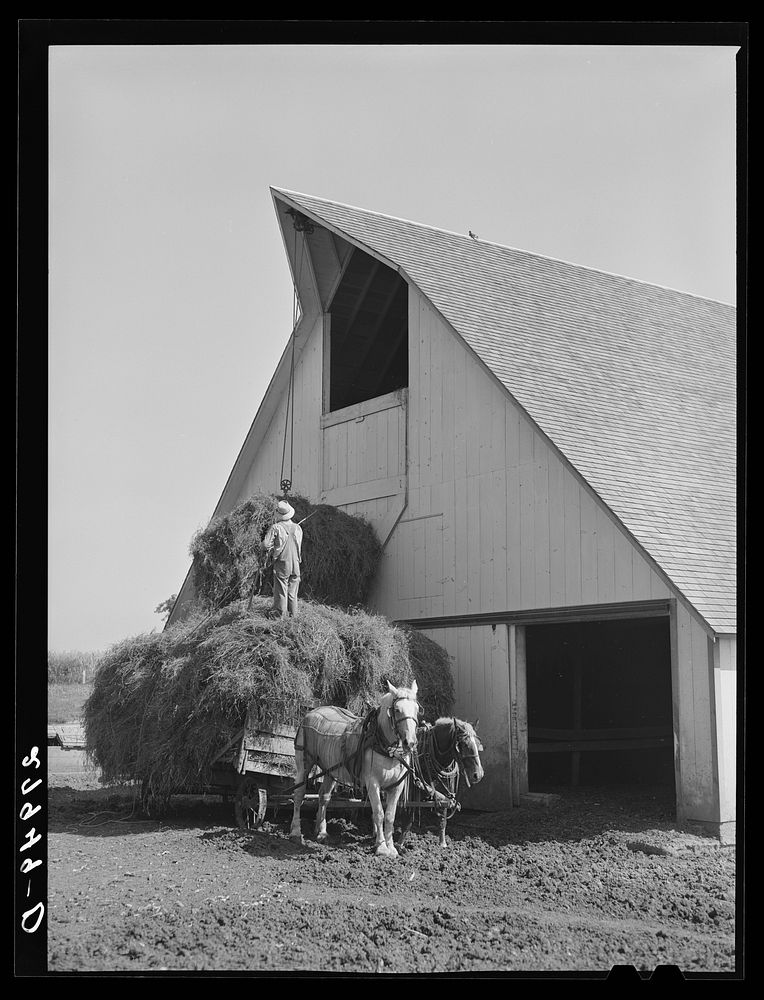 [Untitled photo, possibly related to: Filling the hayloft. Maxwell farm, Jasper County, Iowa]. Sourced from the Library of…