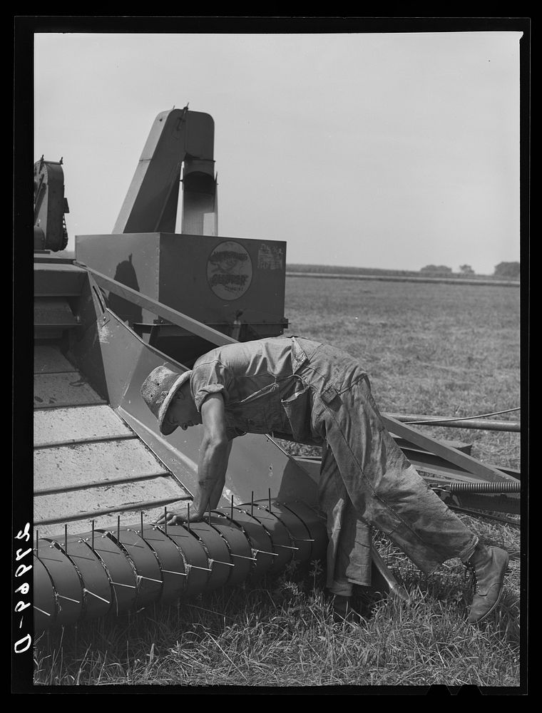[Untitled photo, possibly related to: Combine harvester for timothy grass seed. Jasper County, Iowa]. Sourced from the…