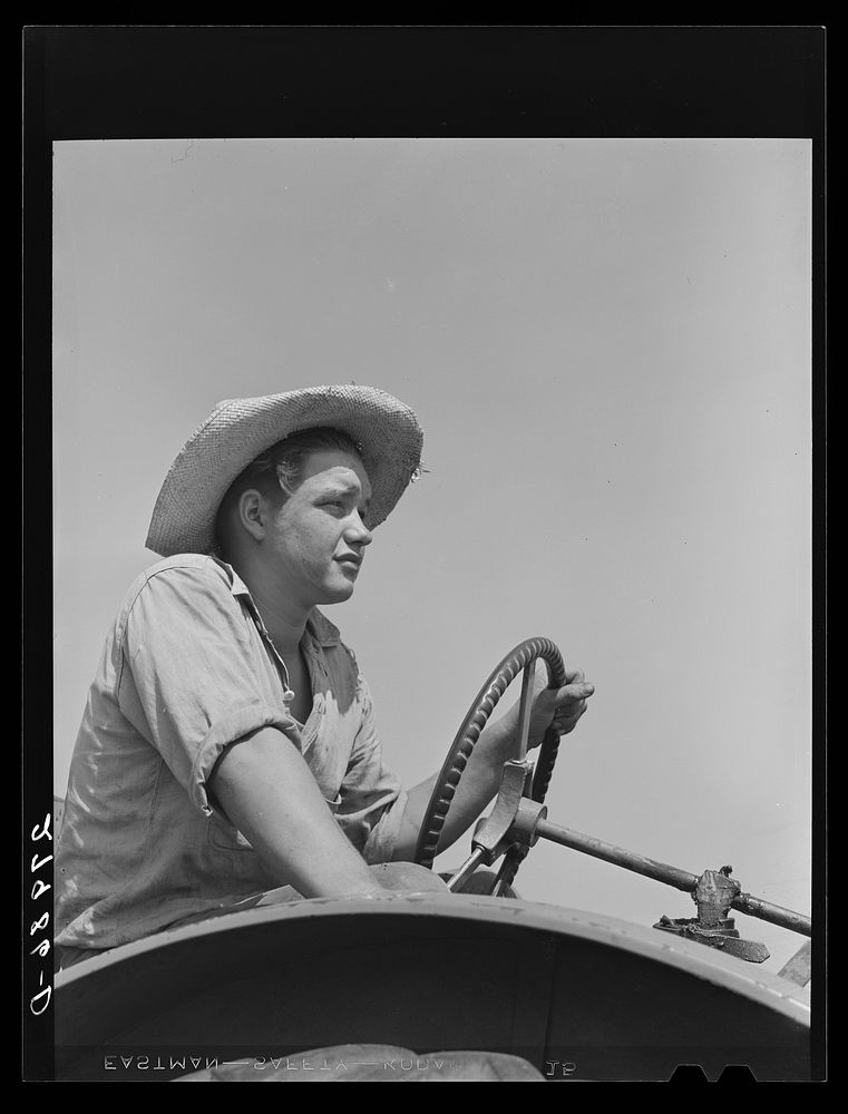 Bud Kimberley, a future farmer of America, driving a tractor. Jasper County, Iowa. Sourced from the Library of Congress.