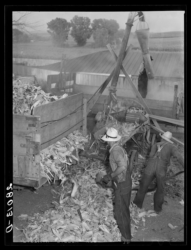 [Untitled photo, possibly related to: Grinding corn for cattle feed. Leo Gannon farm, Jasper County, Iowa]. Sourced from the…