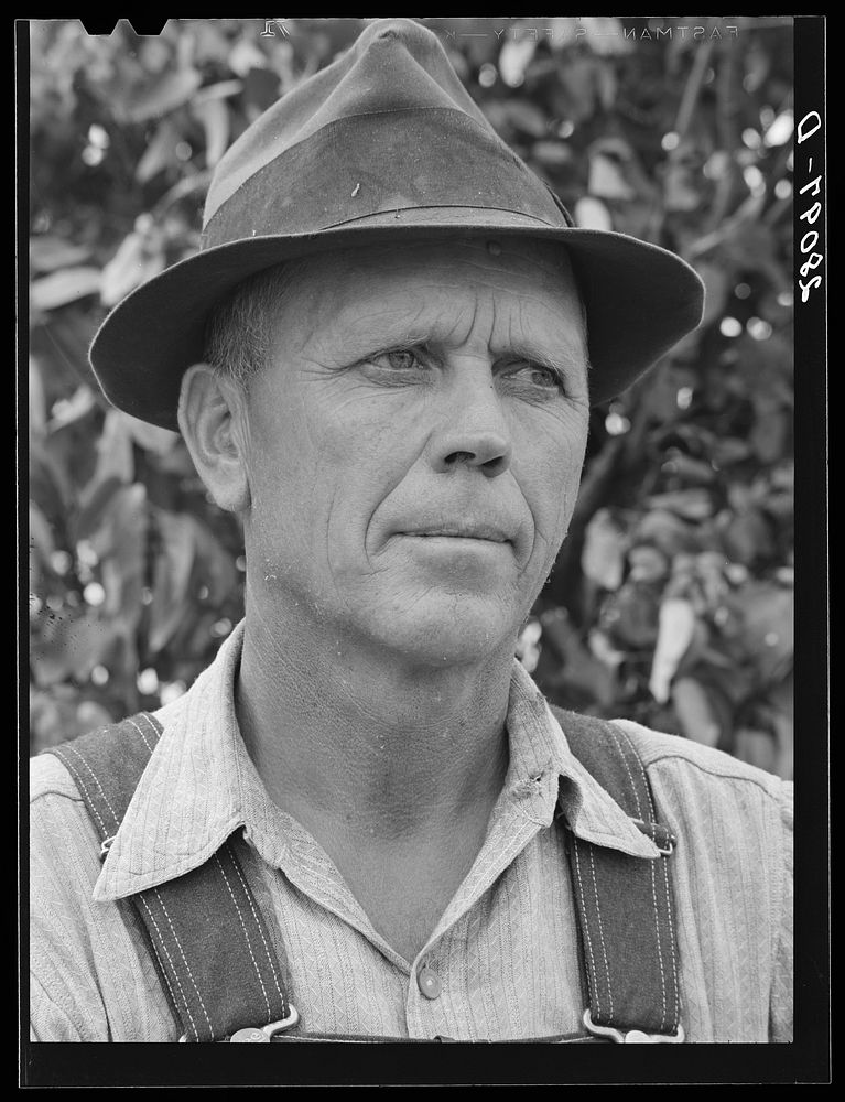 Henry Lundgren, manager of dairy farm. Dakota County, Minnesota. Sourced from the Library of Congress.
