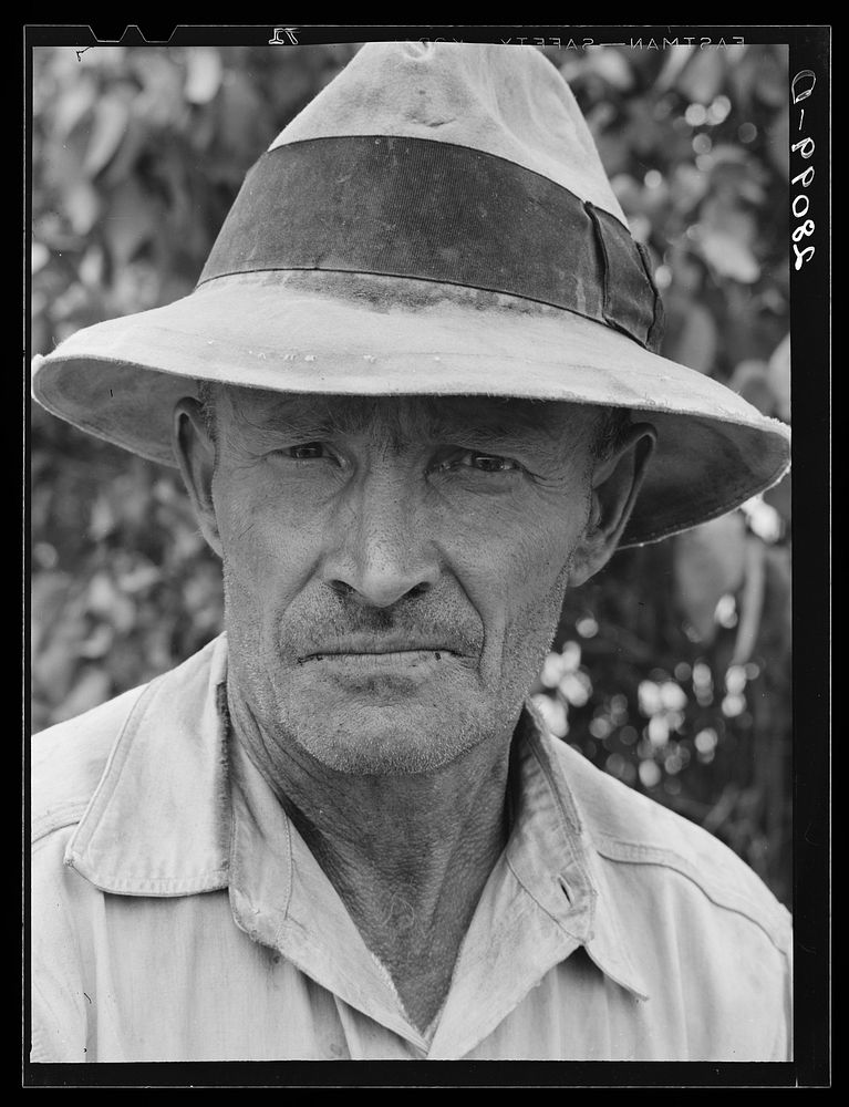 Hired hand on dairy farm. Dakota County, Minnesota. Sourced from the Library of Congress.