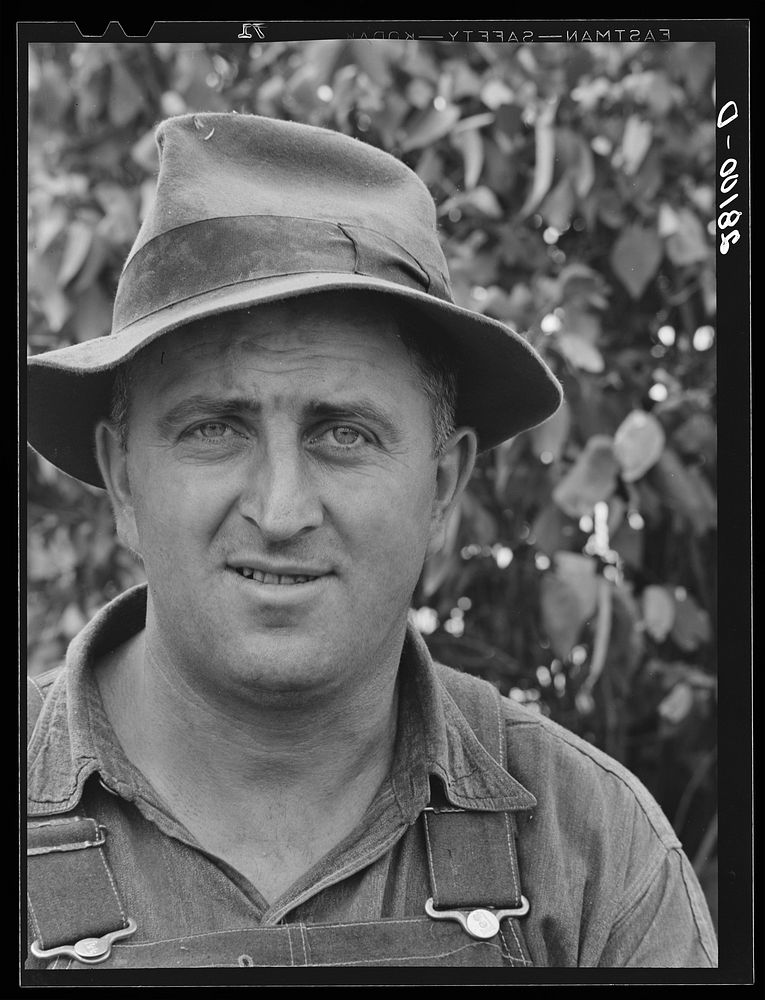 Hired hand on dairy farm. Dakota County, Minnesota. Sourced from the Library of Congress.