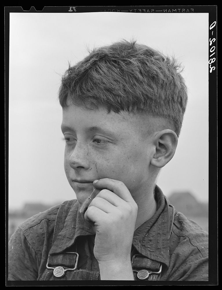 [Untitled photo, possibly related to: Son of dairy farmer. Dakota County, Minnesota]. Sourced from the Library of Congress.