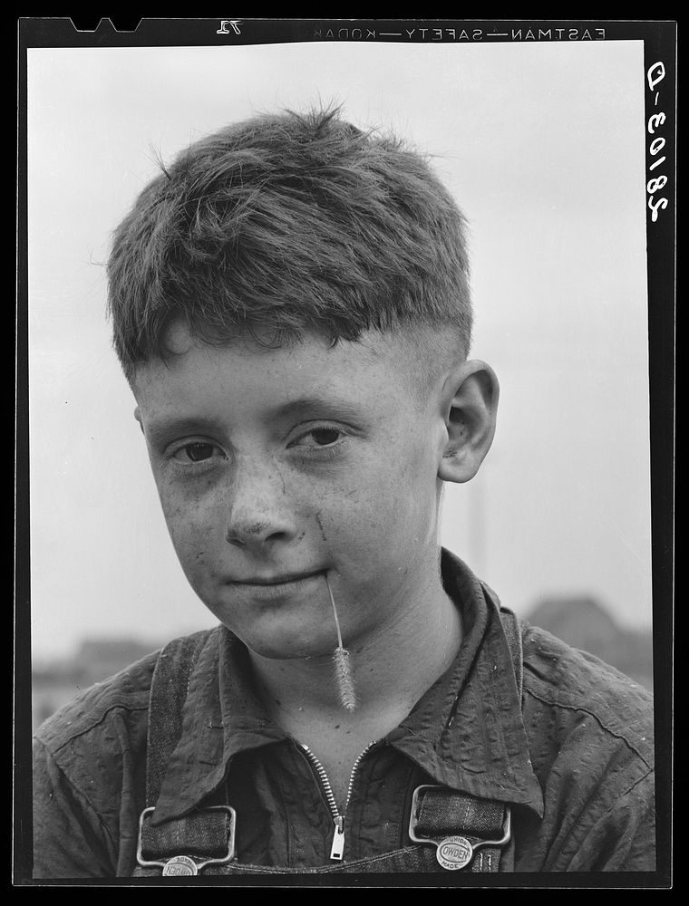 Son of dairy farmer. Dakota County, Minnesota. Sourced from the Library of Congress.