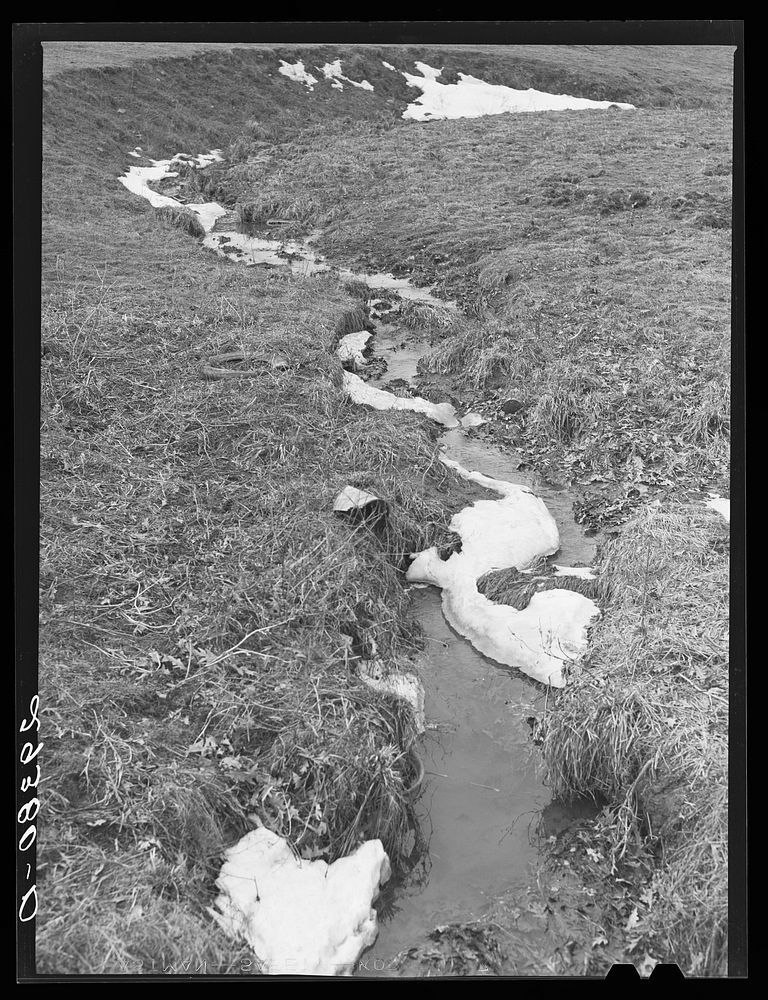 Snow melting in brook. Frederick County, Virginia. Sourced from the Library of Congress.