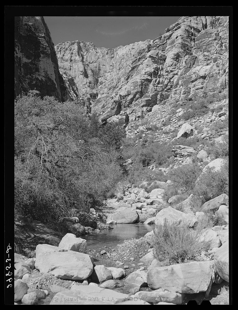 Pine Creek Canyon. Clark County, Nevada. Sourced from the Library of Congress.