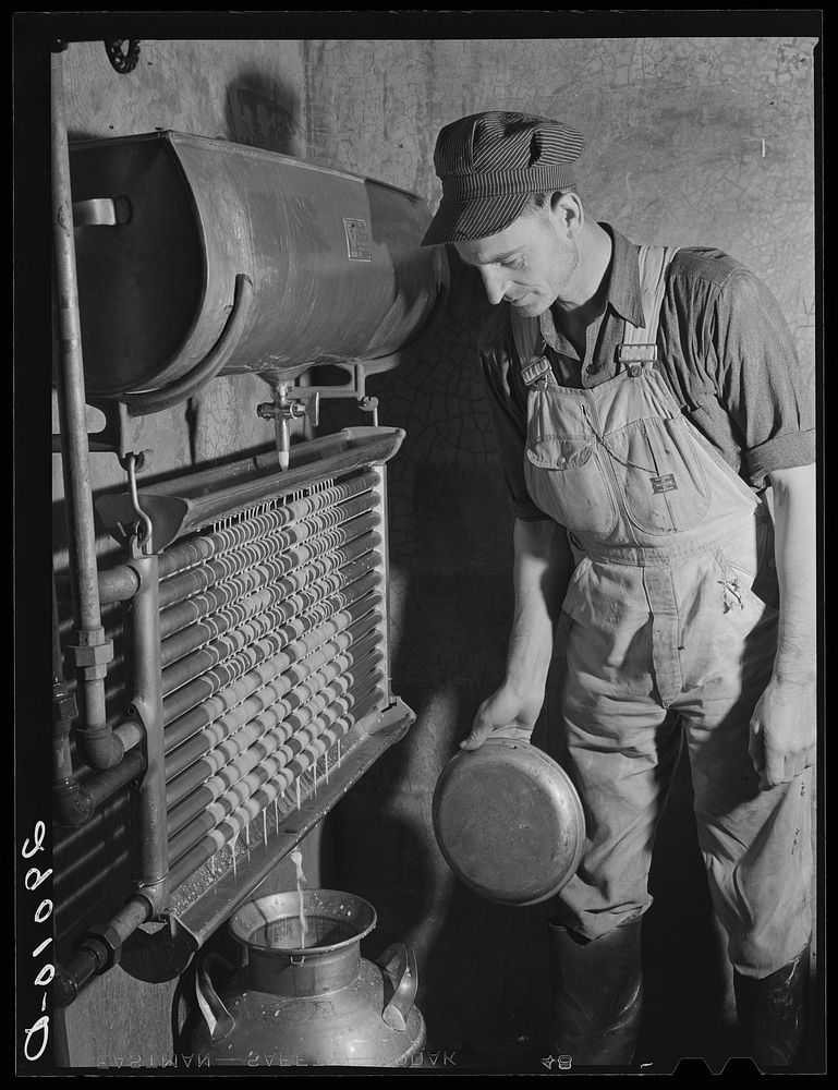 Most of the milk is refrigerated until time for shipment to nearby city. Osage Farms, Missouri. Sourced from the Library of…