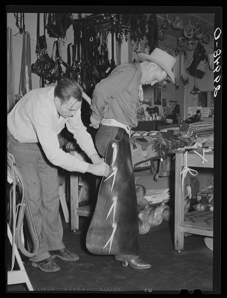 Cowhand tries on chaps. Capriola Saddlery, Elko, Nevada. Sourced from the Library of Congress.
