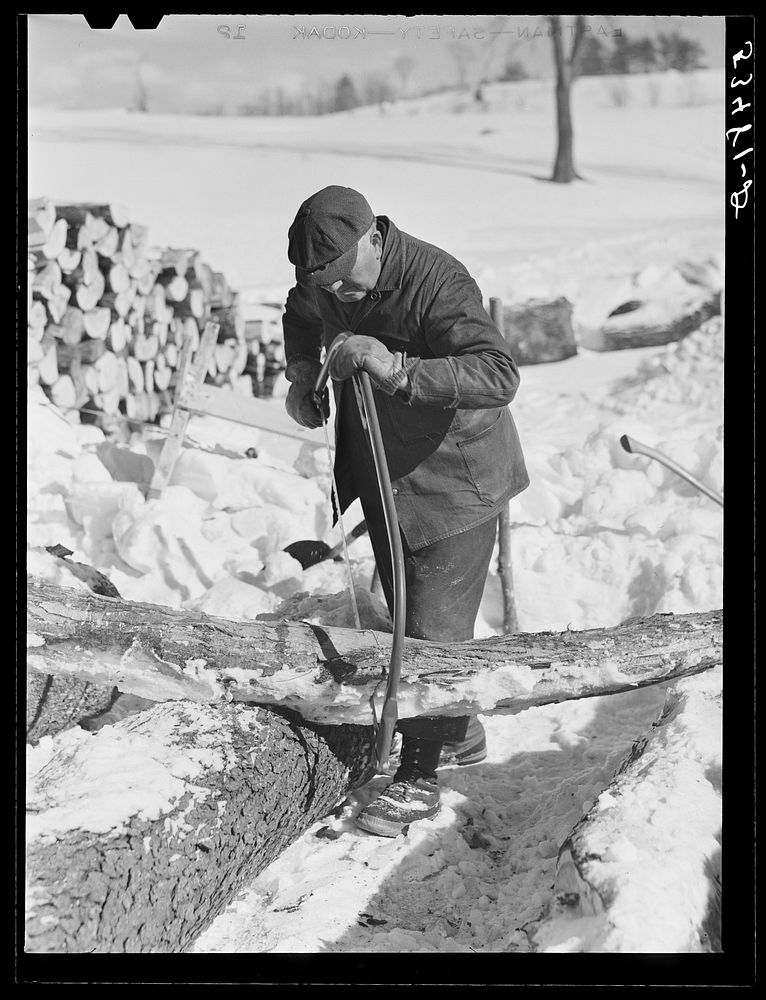 Farmer sawing wood for winter fuel. Near Littleton, New Hampshire. Sourced from the Library of Congress.