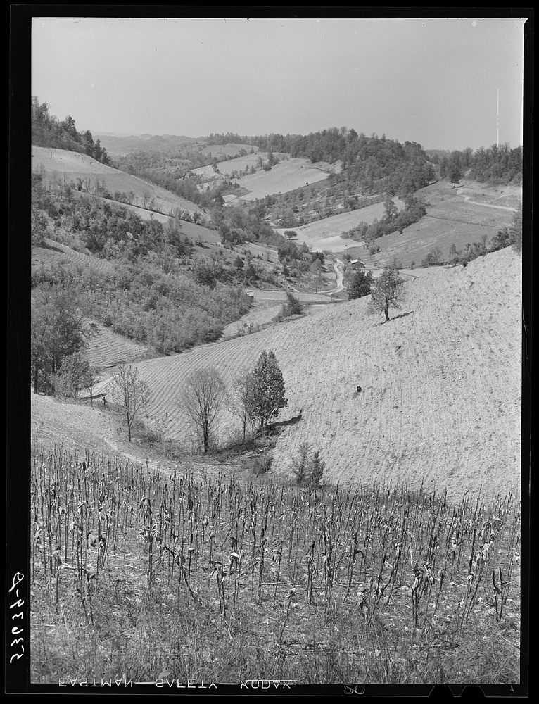 Farmland in northeastern Tennessee. Sourced from the Library of Congress.