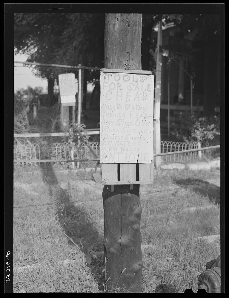 [Untitled photo, possibly related to: Signs in front of home near Anchorage, Kentucky]. Sourced from the Library of Congress.