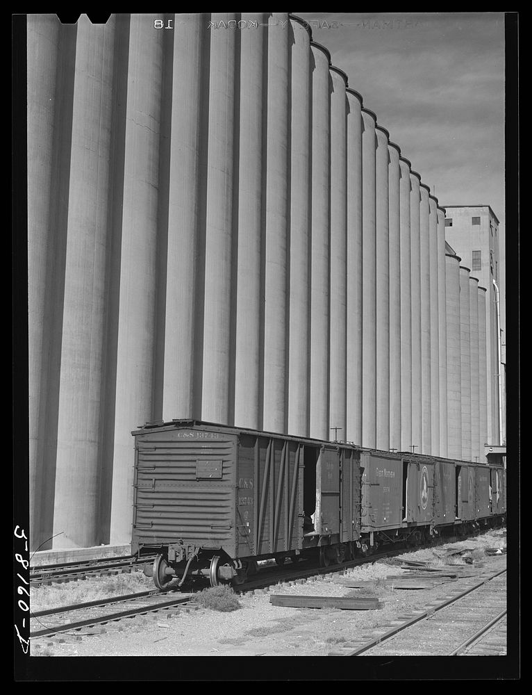 Grain storage, elevators and freight trains. Great Falls, Montana. Sourced from the Library of Congress.