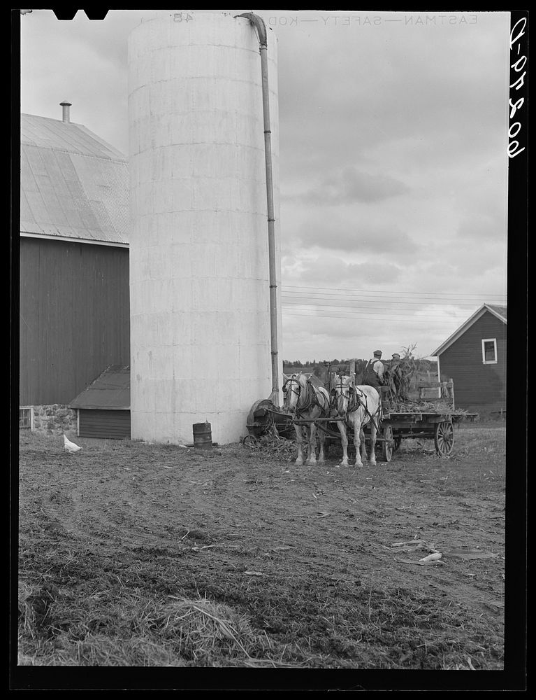 Filling silo. Chippewa County, Wisconsin. Sourced from the Library of Congress.