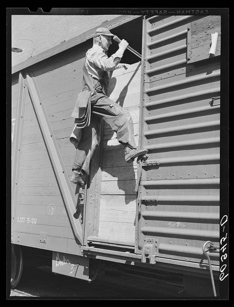 Grain sampler leaving car of wheat after getting samples. Minneapolis, Minnesota. Sourced from the Library of Congress.