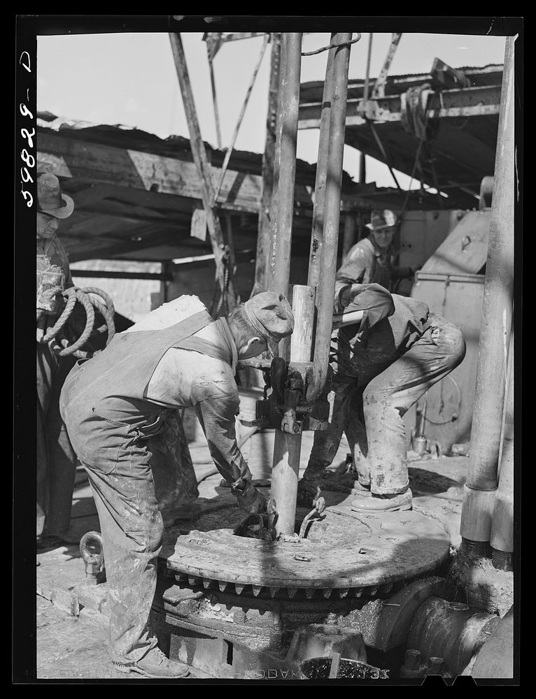 Oil workers pulling up old pipe to change bit on drilling pipe at bottom of oil well in C.C. Graber pool of Continental oil…