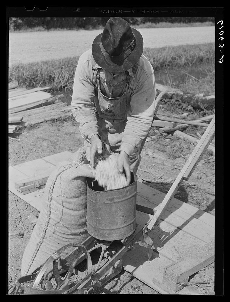Pouring cotton seed in planter. Submarginal farm along riverbottoms. New Madrid County, Missouri. Sourced from the Library…