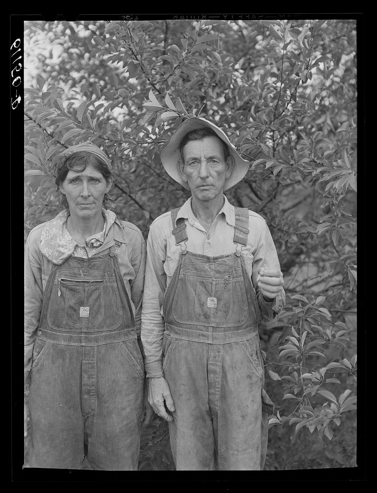 Couple from Arkansas picking cherries in Michigan. Berrien County. Sourced from the Library of Congress.