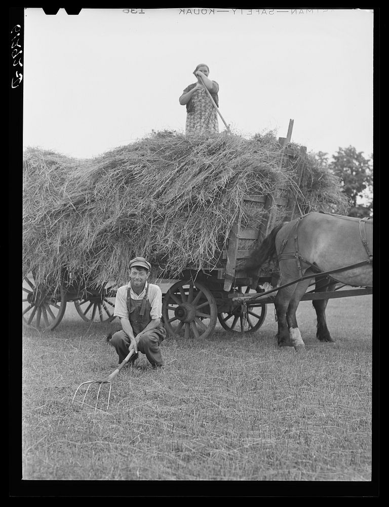 [Untitled photo, possibly related to: Loading hay. Door County, Wisconsin]. Sourced from the Library of Congress.