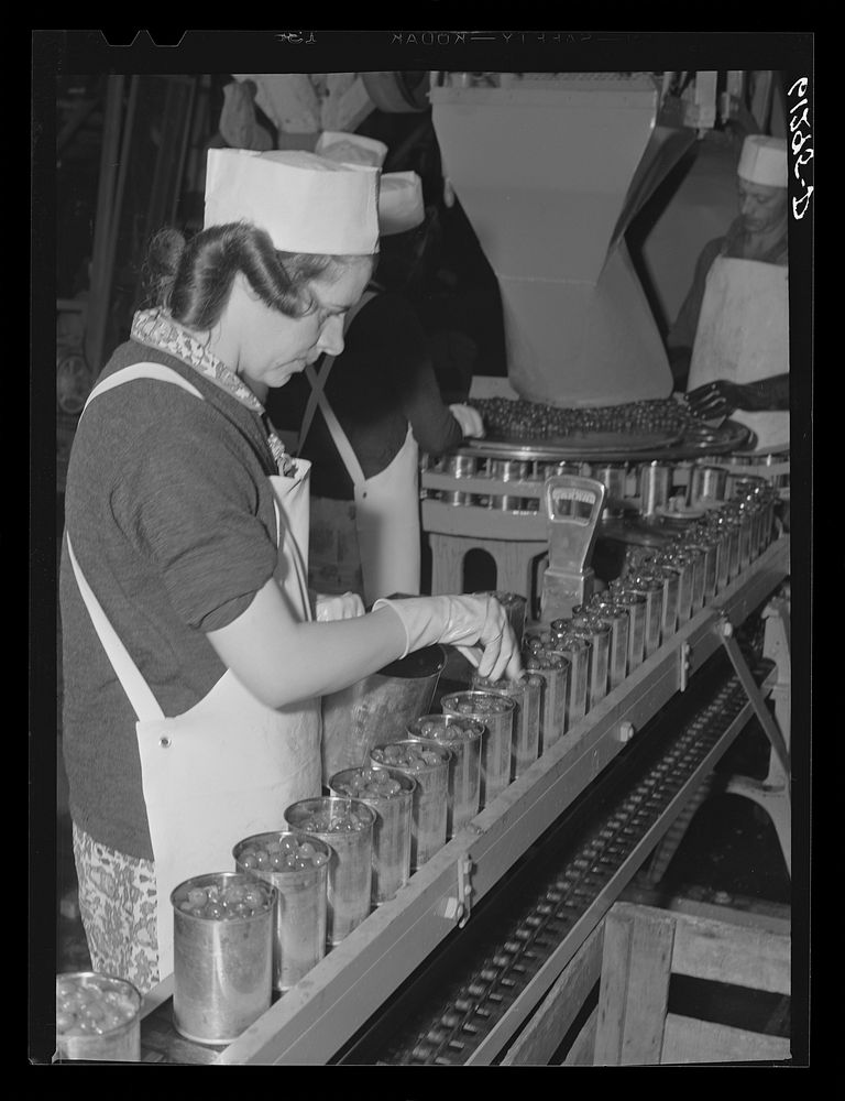 Checking on exact fill of cans in cherry canning plant. Sturgeon Bay, Wisconsin. Sourced from the Library of Congress.