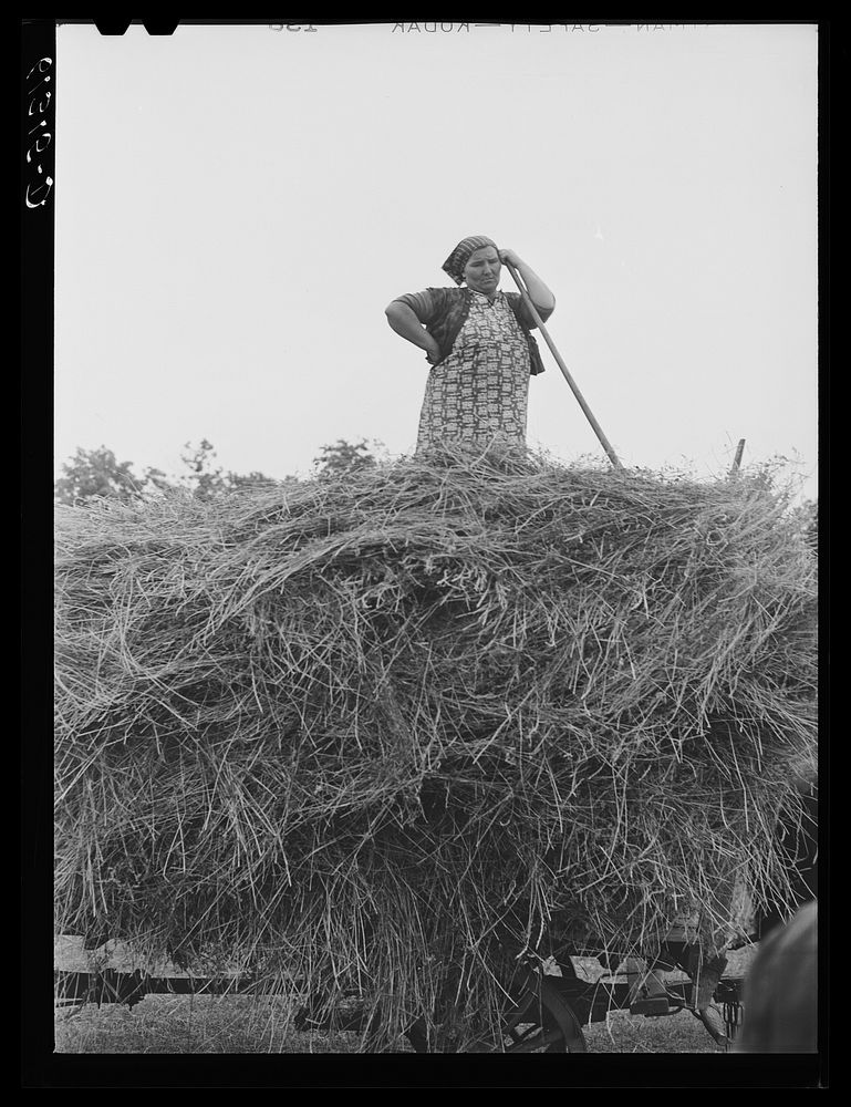 Farm wife helping to load hay. Door County, Wisconsin. Sourced from the Library of Congress.