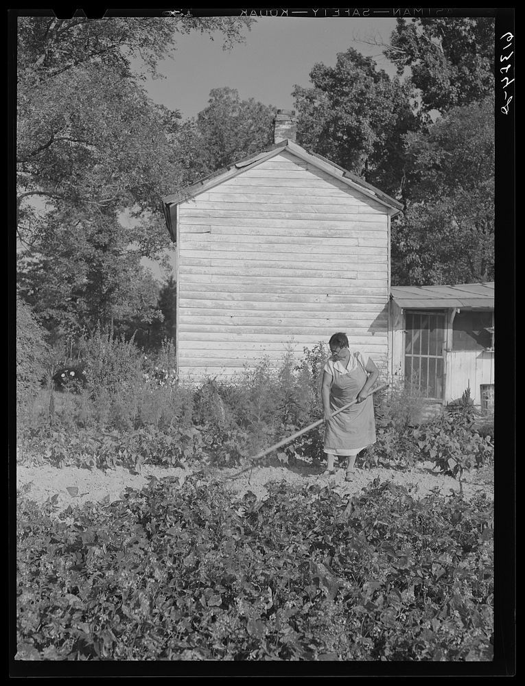 Mrs. Eugene Smith hoeing in her garden. Saint Mary's County, Maryland. Sourced from the Library of Congress.