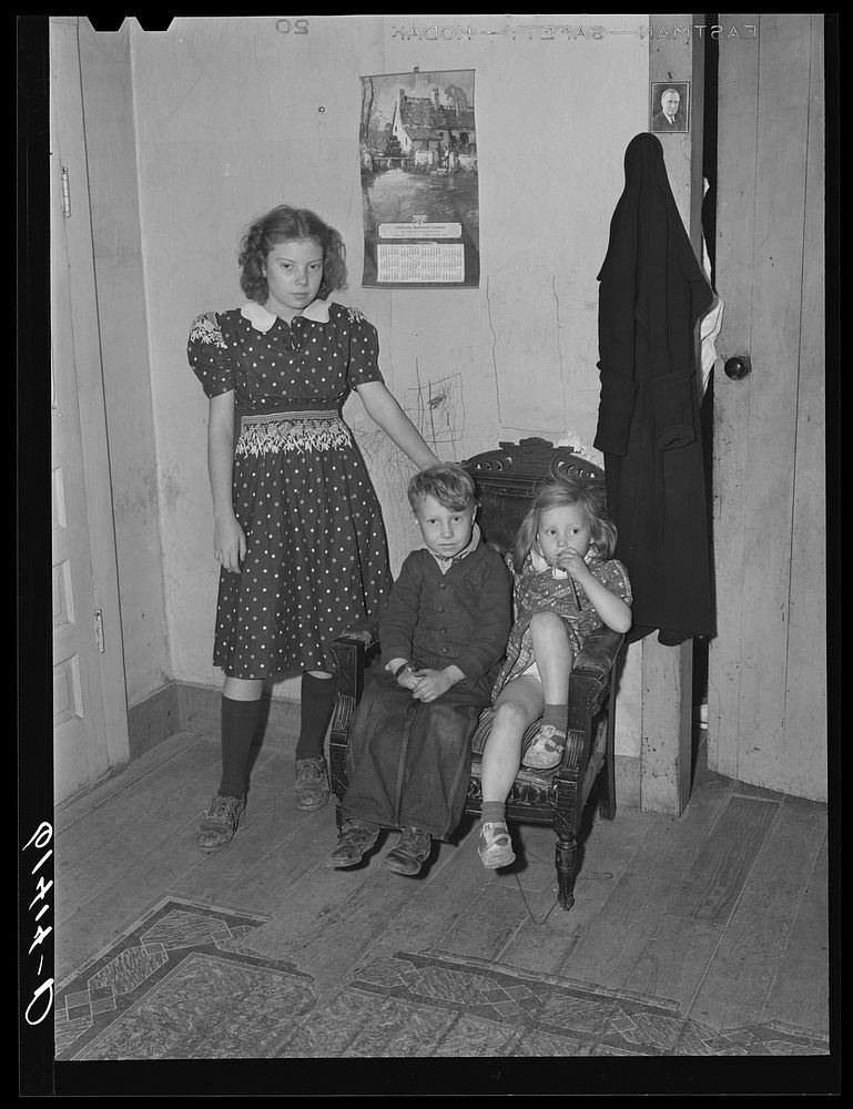 Children of the Lansing family, FSA (Farm Security Administration) borrowers. Ross County, Ohio. Sourced from the Library of…
