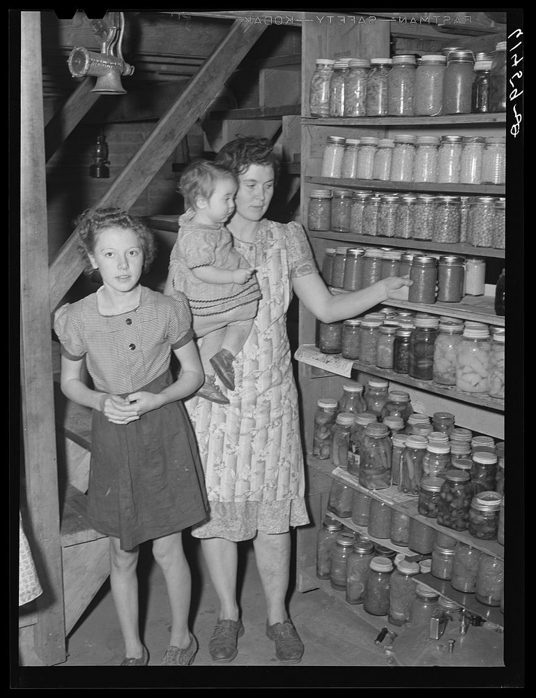 [Untitled photo, possibly related to:Canned goods of Hersch family. Red River Valley Farms, North Dakota]. Sourced from the…