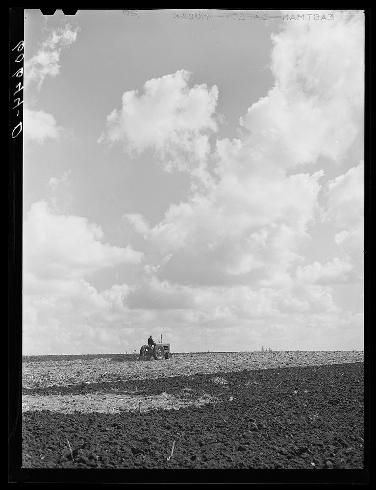 Discing cornstalks. Grundy County, Iowa. Sourced from the Library of Congress.