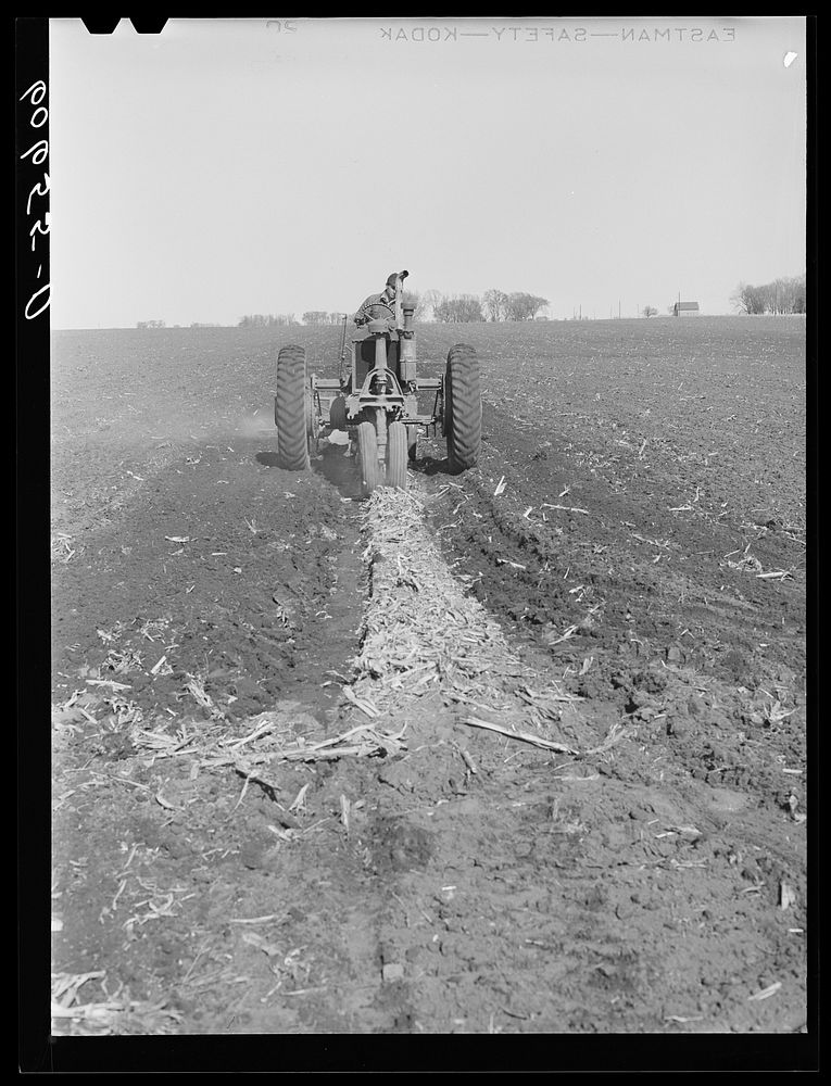 Plowing up the last strip of land in a field which will be planted in corn. Grundy County, Iowa. Sourced from the Library of…