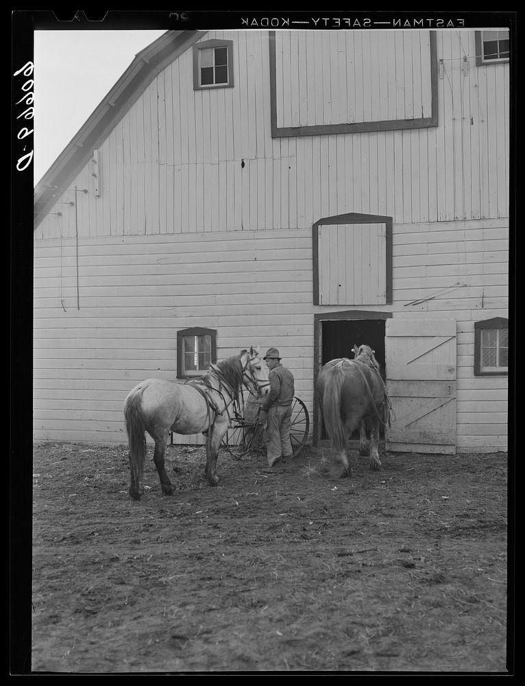 [Untitled photo, possibly related to: Farm boy with load of corn ground for feed. Grundy County, Iowa]. Sourced from the…