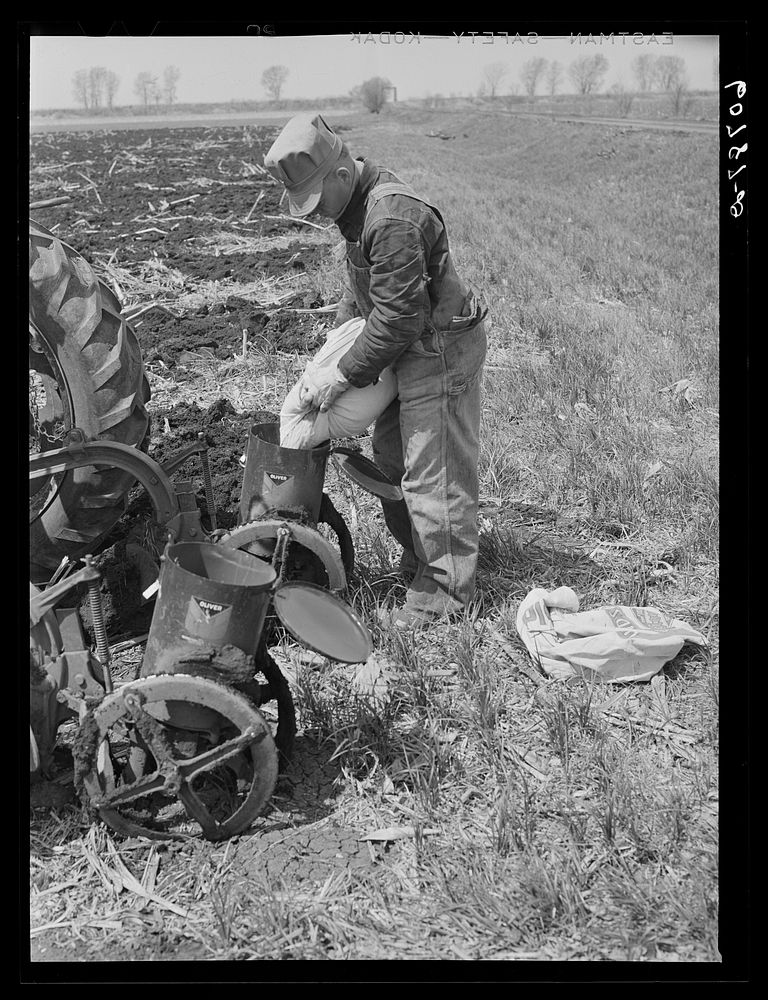 Pouring seed into box of two-row tractor corn planter. Listing method. Monona County, Iowa. Sourced from the Library of…