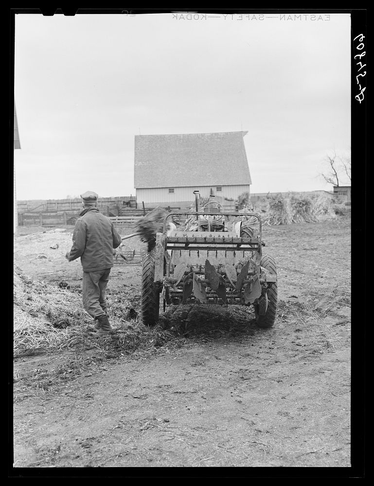 [Untitled photo, possibly related to: Loading manure spreader. Greene County, Iowa]. Sourced from the Library of Congress.