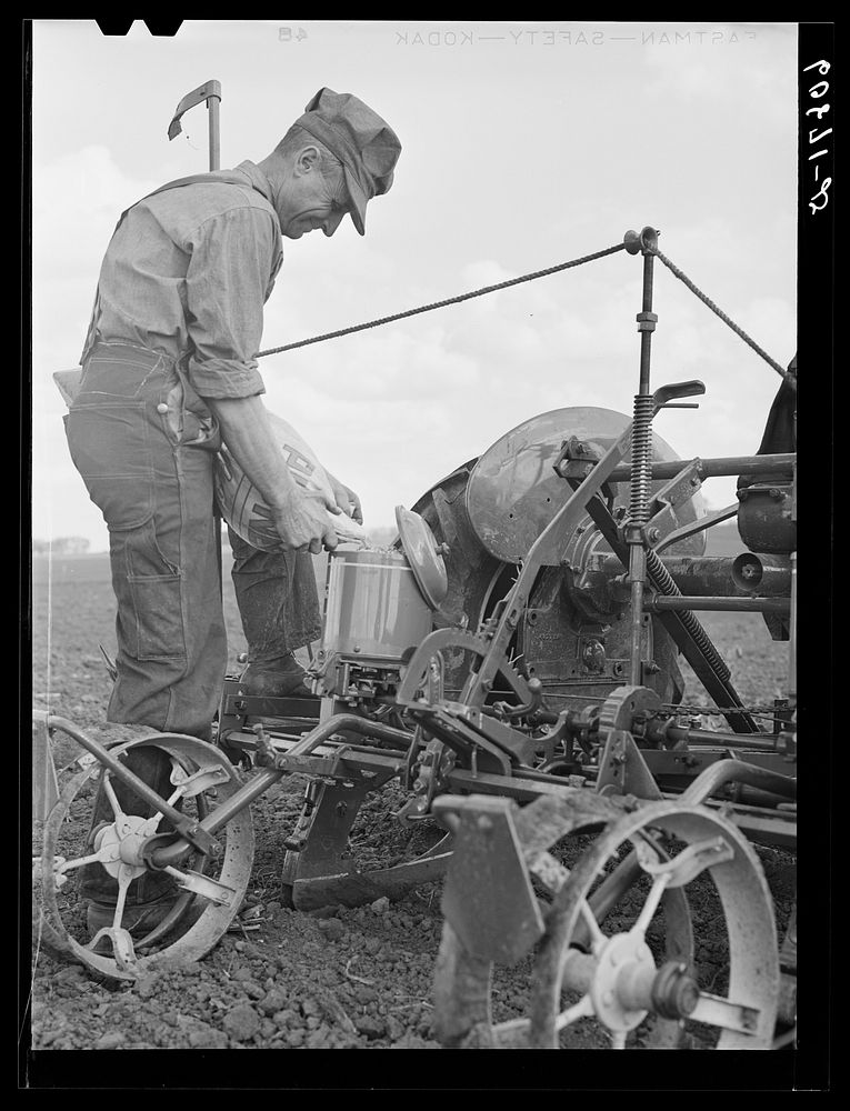 [Untitled photo, possibly related to: Pouring hybrid corn seed into box of two-row tractor planter. Jasper County, Iowa].…