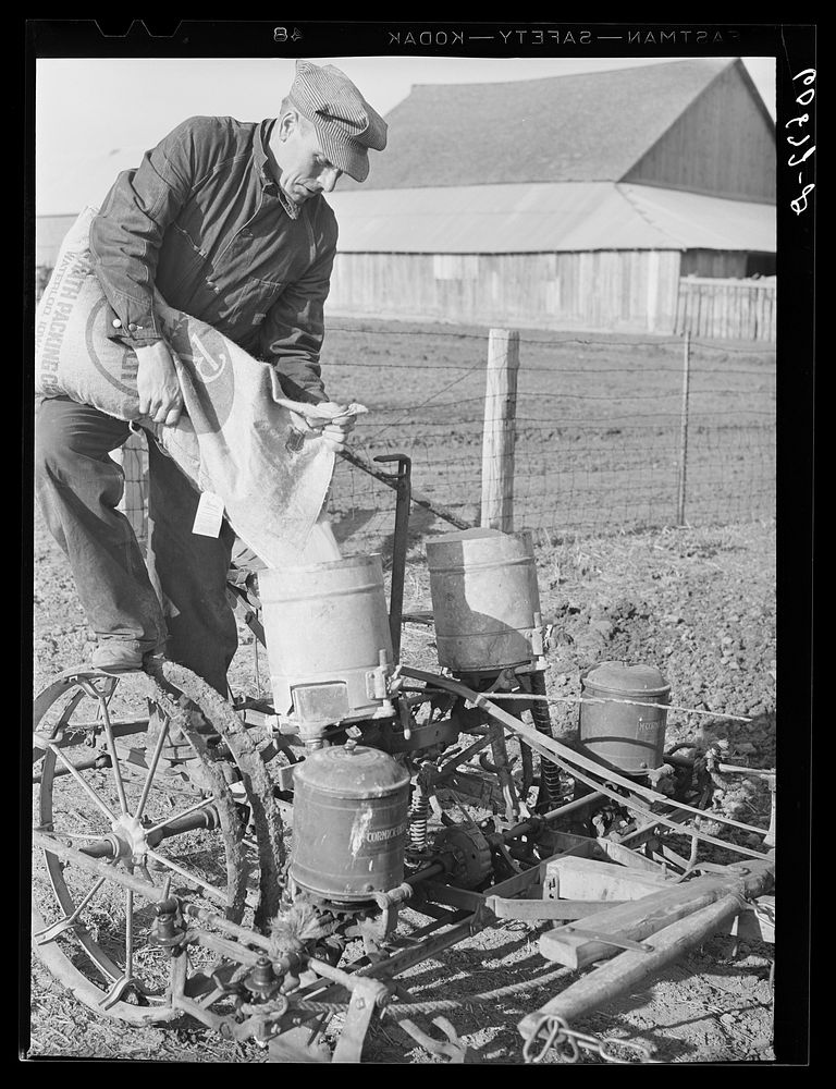 [Untitled photo, possibly related to: Pouring fertilizer into box on corn planter. Jasper County, Iowa]. Sourced from the…