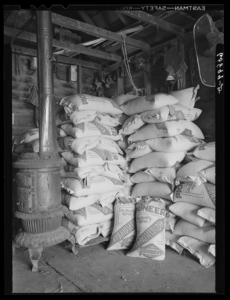 Hybrid corn stored in farmer's machine shed. Monona County, Iowa. Sourced from the Library of Congress.
