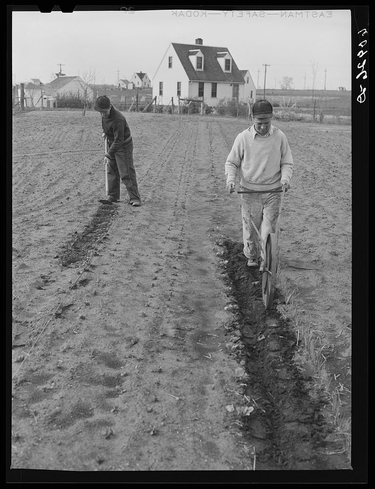 Working in garden. Granger Homesteads, Iowa. Sourced from the Library of Congress.