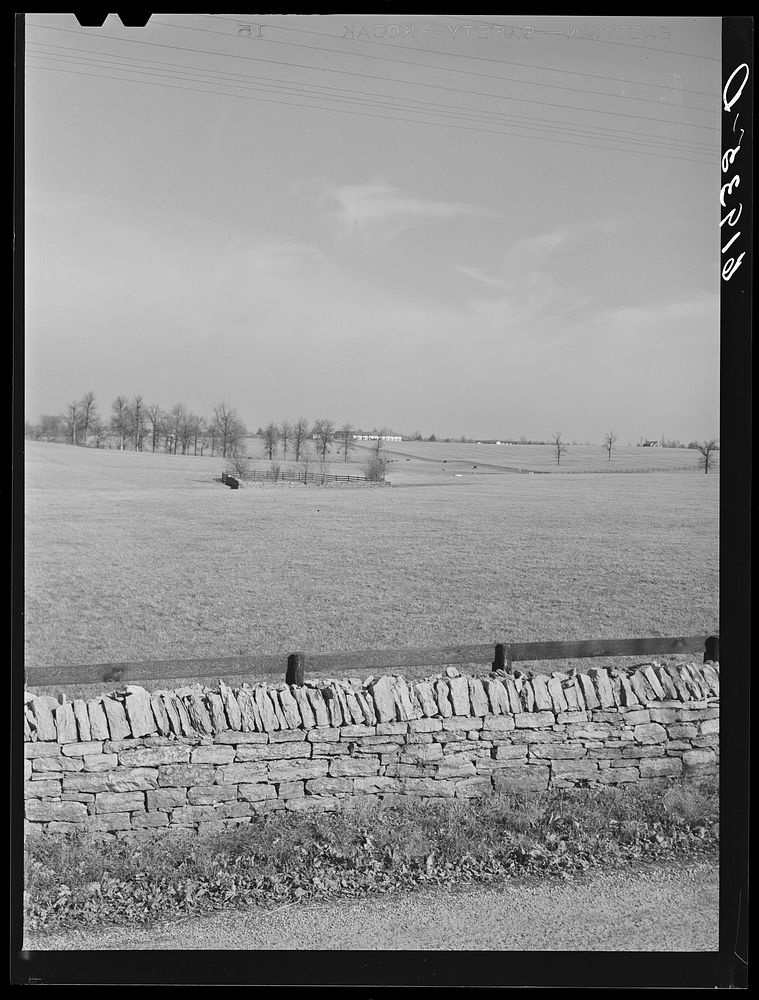 Horse farm in Bluegrass country. Fayette County, Kentucky. Sourced from the Library of Congress.