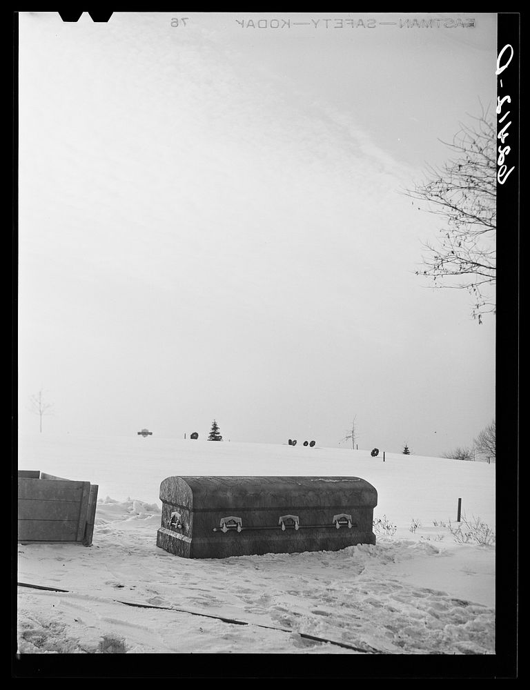 Graveyard. Rochester, Pennsylvania. Sourced from the Library of Congress.