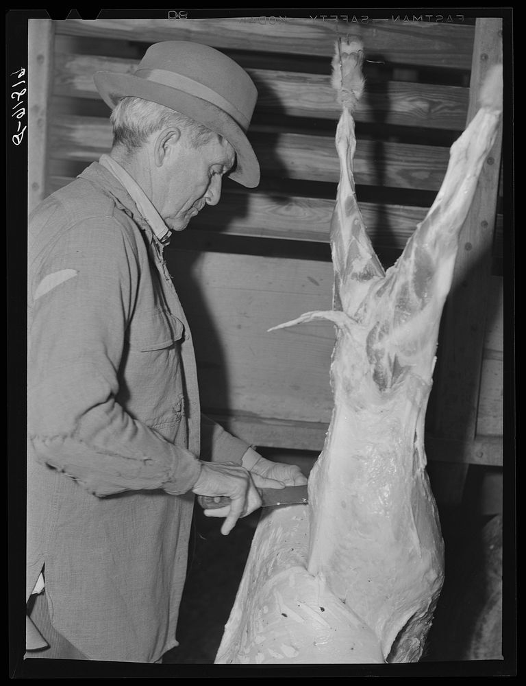Butchering goat. Oregon County, Missouri. Sourced from the Library of Congress.