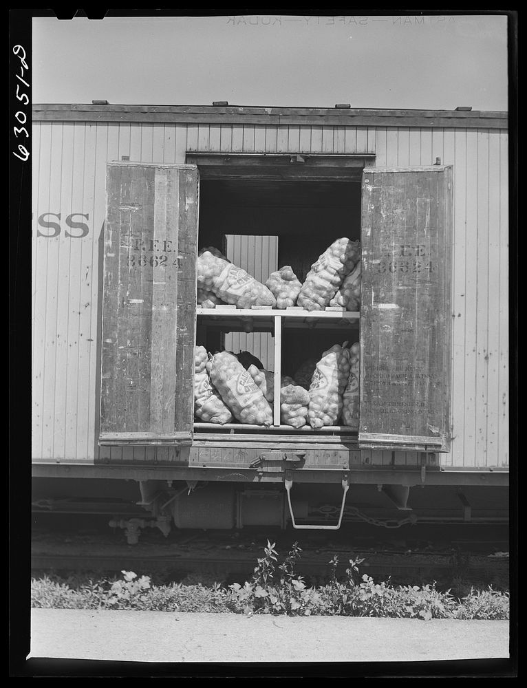 Double deck storage of carload of onions at terminal. Chicago, Illinois. Sourced from the Library of Congress.