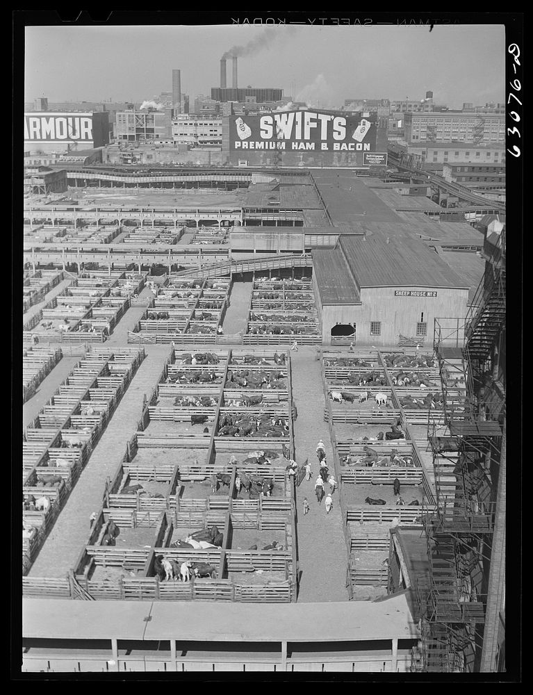 [Untitled photo, possibly related to: Union Stockyards. Chicago, Illinois]. Sourced from the Library of Congress.