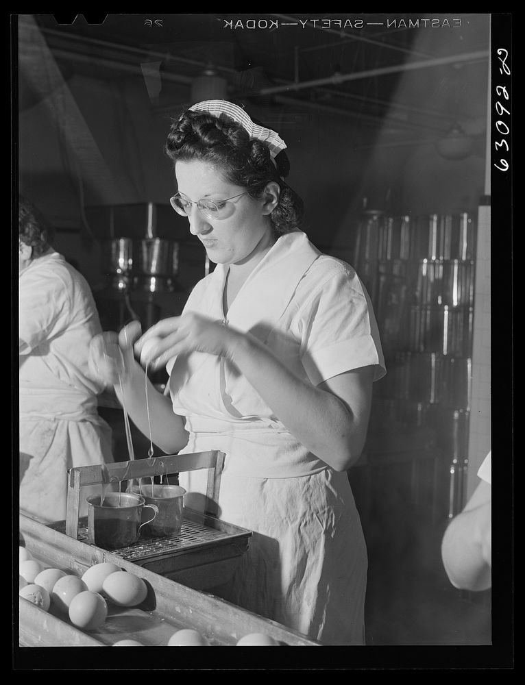 Breaking eggs in egg breaking plant. Chicago, Illinois. Sourced from the Library of Congress.