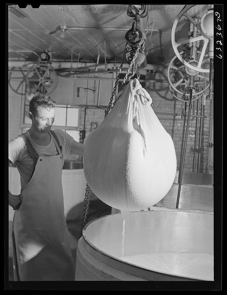 [Untitled photo, possibly related to: Removing the curd from the whey. Swiss cheese factory. Madison, Wisconsin]. Sourced…