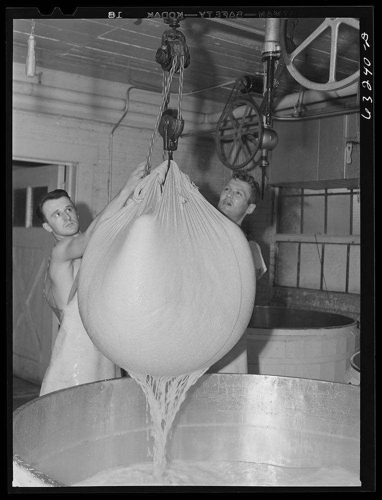Removing the curd from the whey. Swiss cheese factory. Madison, Wisconsin. Sourced from the Library of Congress.