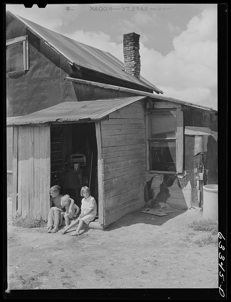 Children of FSA (Farm Security Administration) borrower on cut-over land. Itasca County, Minnesota. Sourced from the Library…