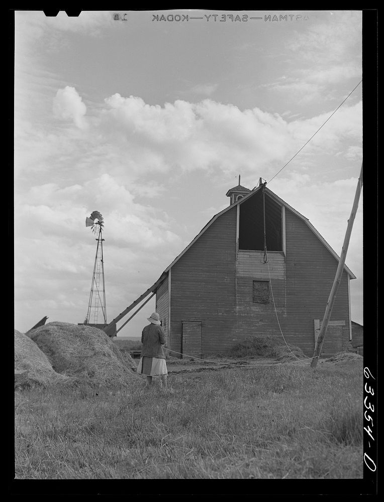 Loading hay into barn on farm of Russell Sherman Else. Douglas County, Wisconsin. Sourced from the Library of Congress.