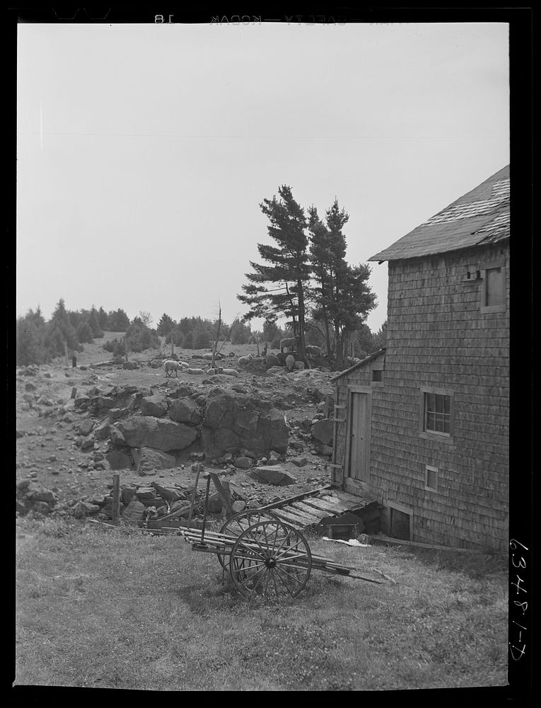 Rocky farmland on the copper range. Keweenew County, Michigan. Sourced from the Library of Congress.
