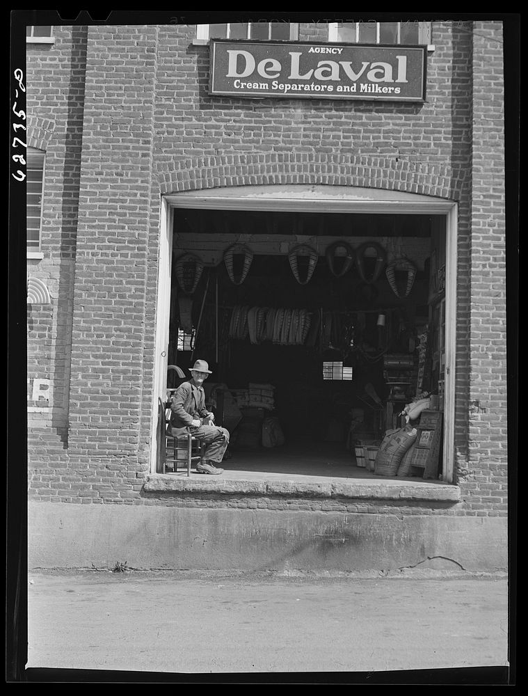 A harness and food store. Bedford, Virginia. Sourced from the Library of Congress.