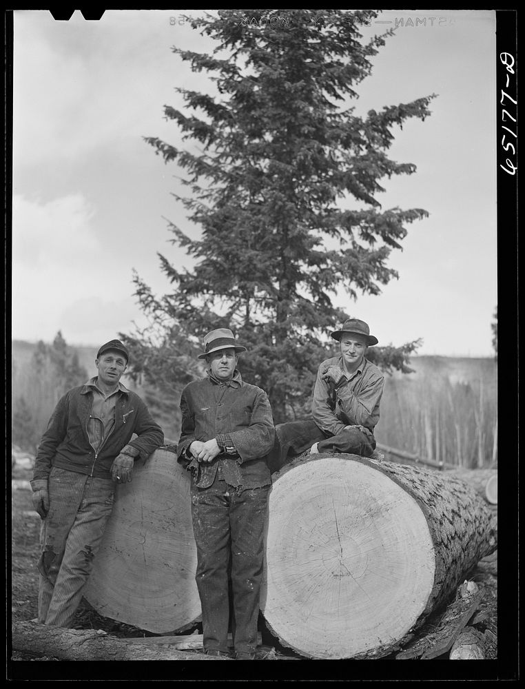 [Untitled photo, possibly related to: Kalispell, Montana. FSA (Farm Security Administration) borrowers employed at the…